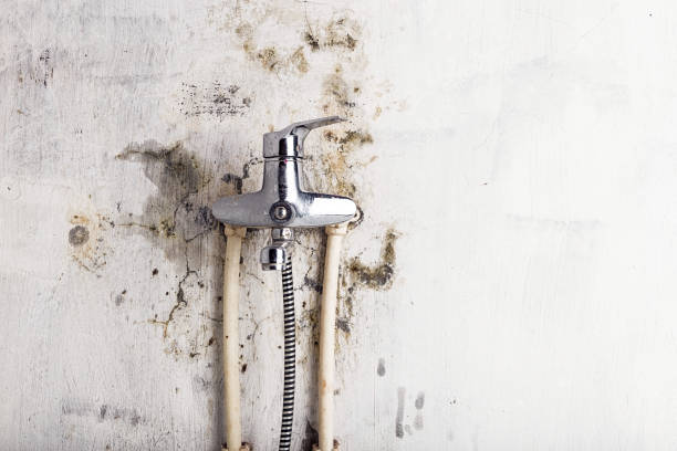 Best Mold Removal and Inspection  in Kingston, RI