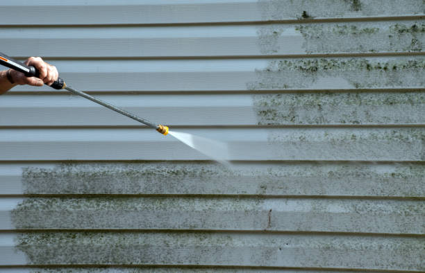 Best Attic Mold Removal  in Kingston, RI