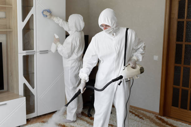 Best Professional Mold Removal  in Kingston, RI