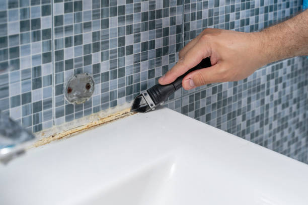 Best Fast Mold Removal  in Kingston, RI